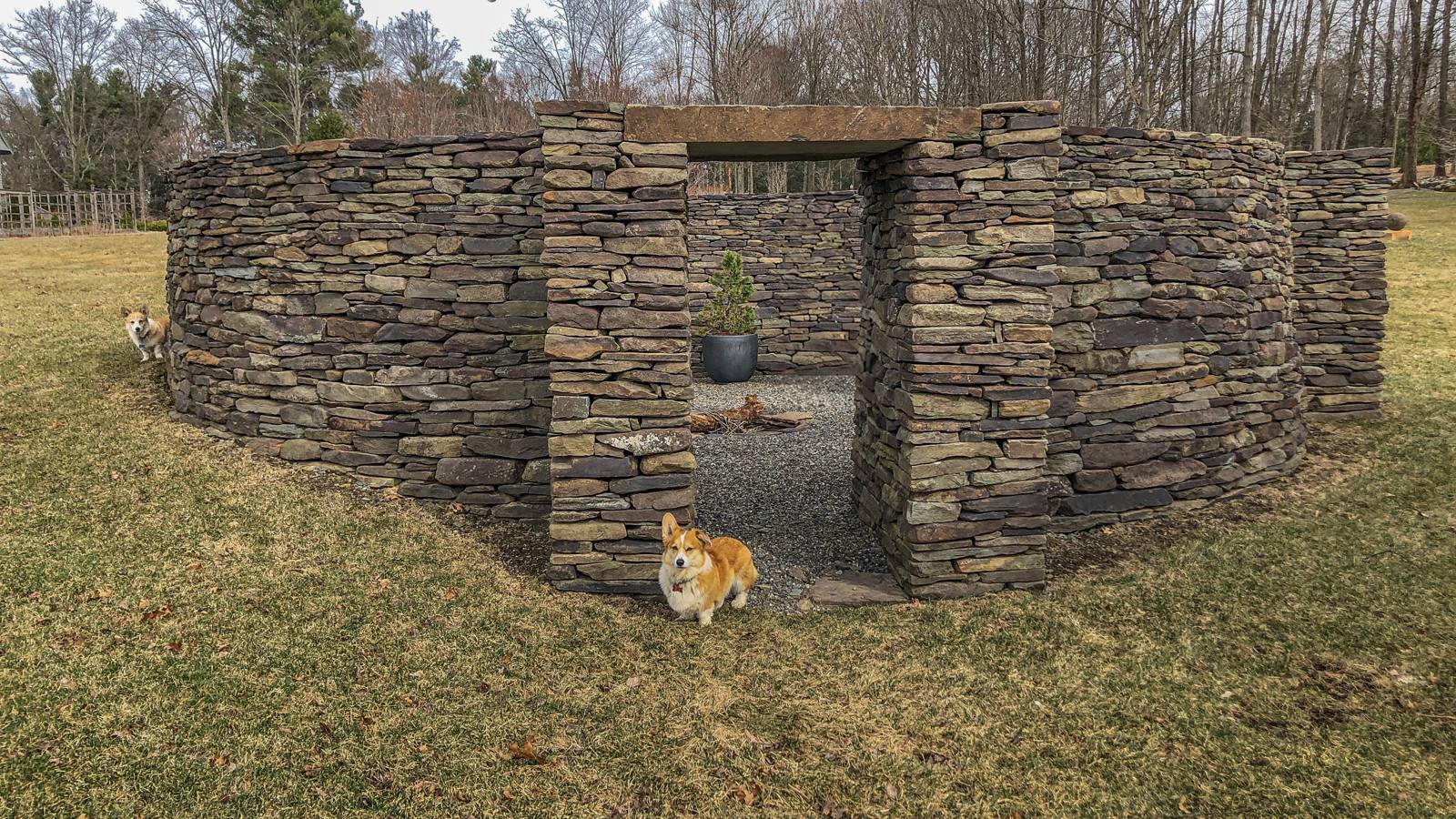 Corgi at the doorway of the dry-stone ruin