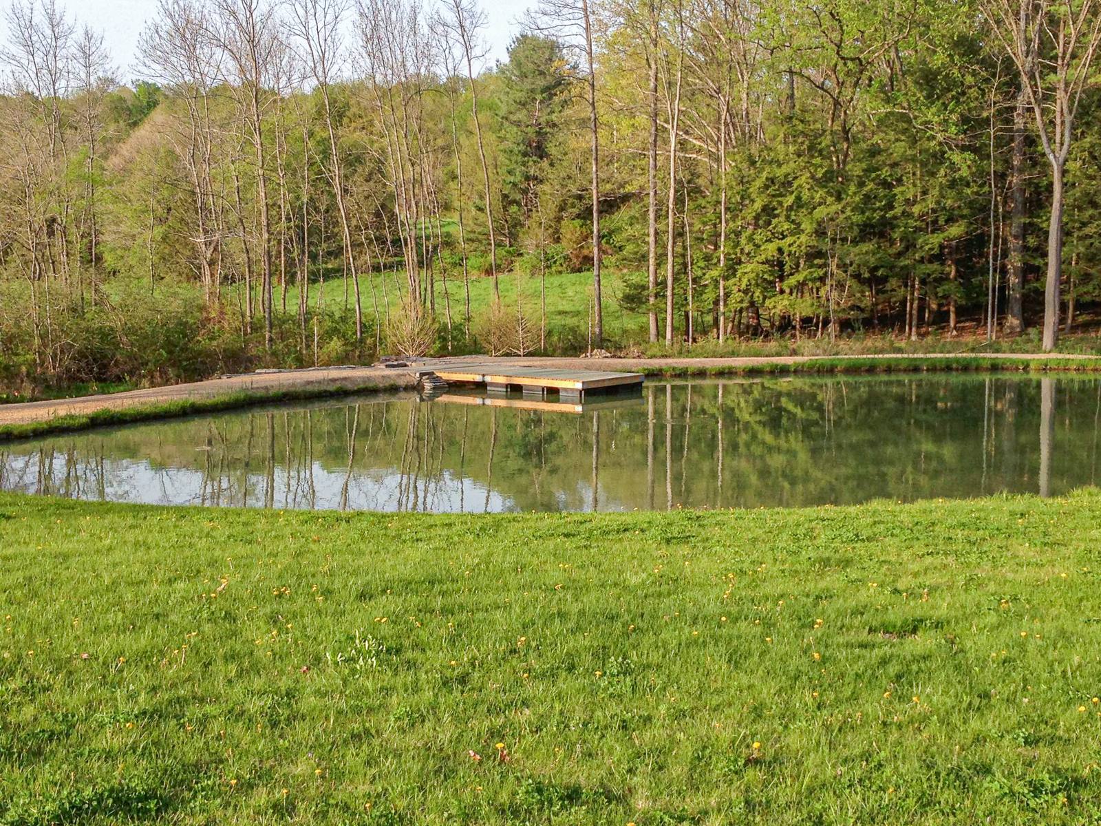 Pond with a floating dock reflecting the trees