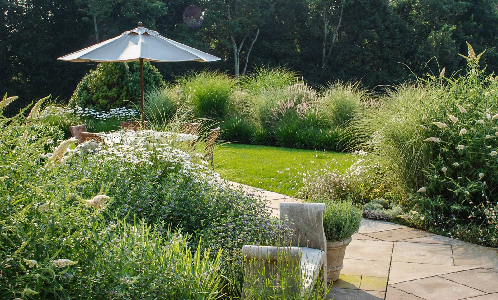 Umbrella-shaded terrace surrounded by grasses, buddleia and daisies