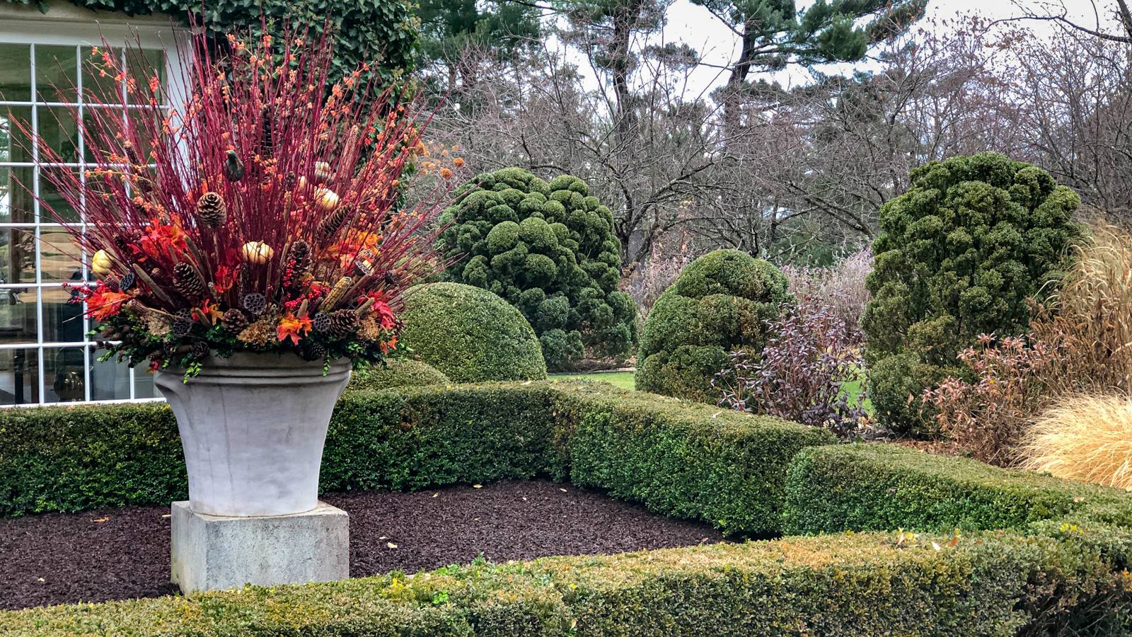 Autumn urn arrangement of red dogwood branches, bittersweet, pinecones and gourds above clipped boxwood