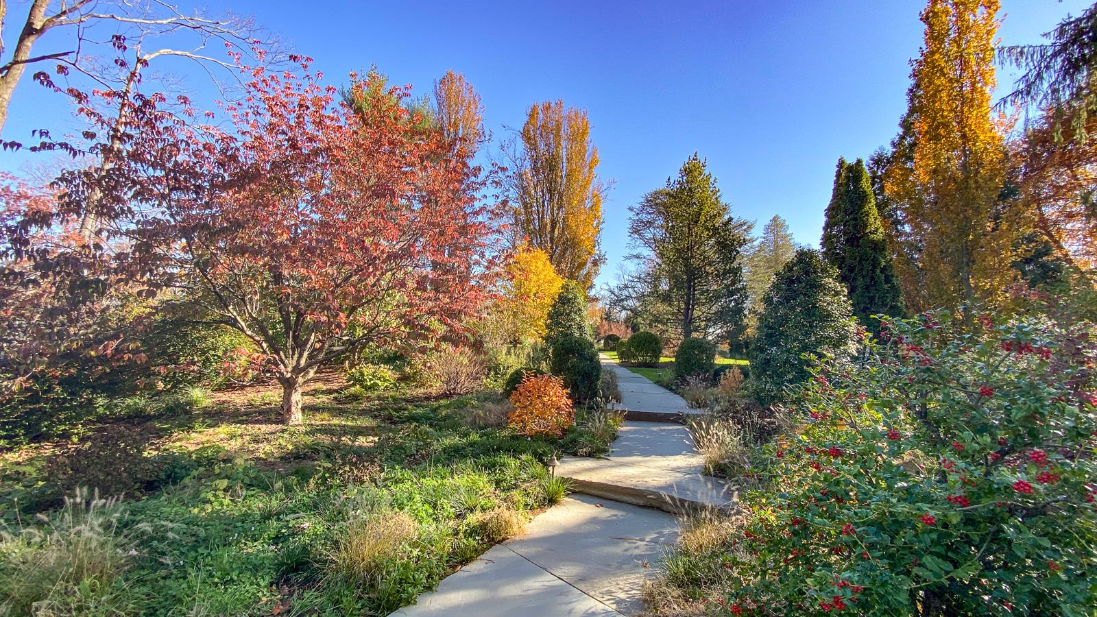 Autumn color along a bluestone walk
