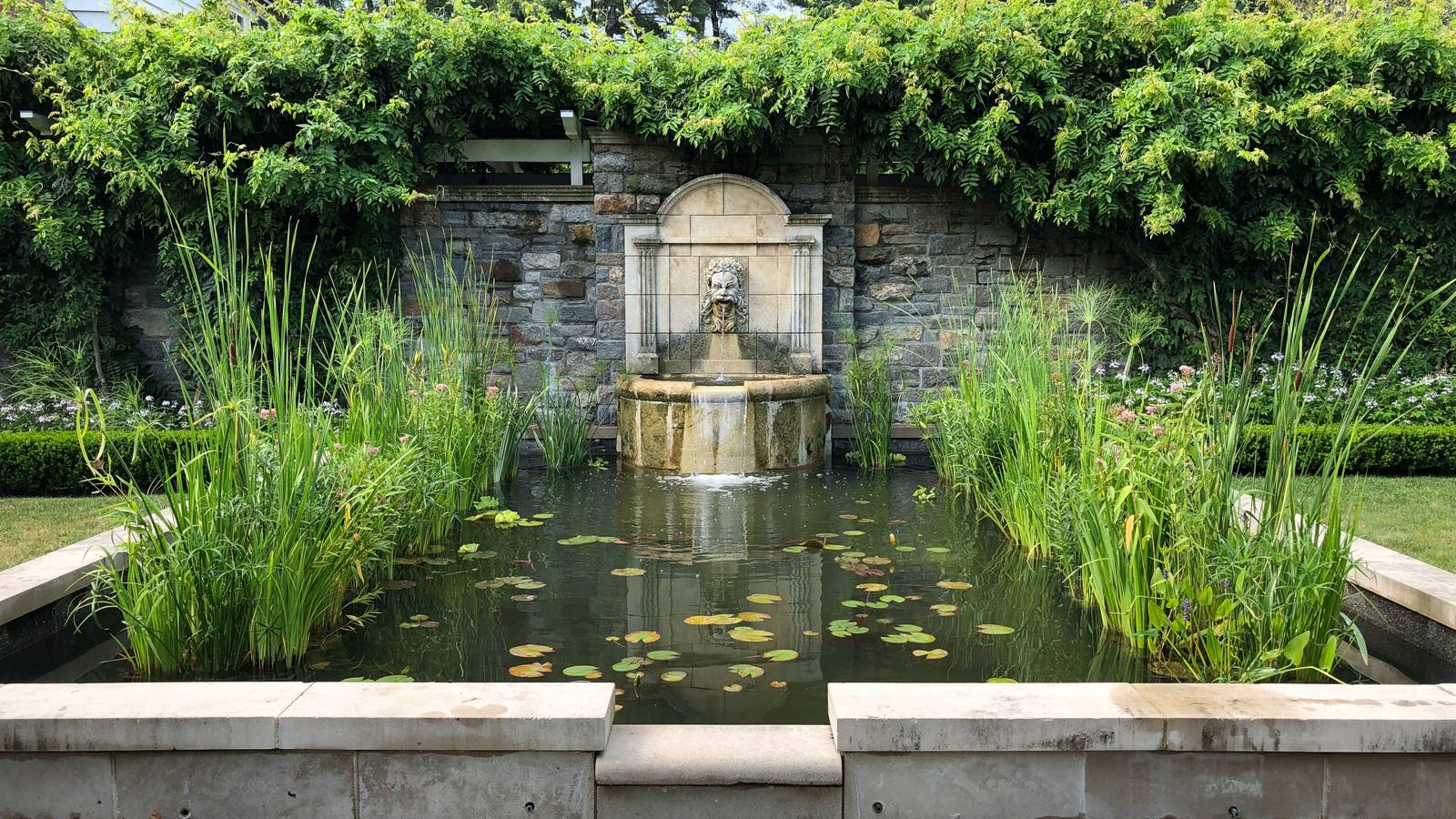 Wall fountain and pond beneath wisteria