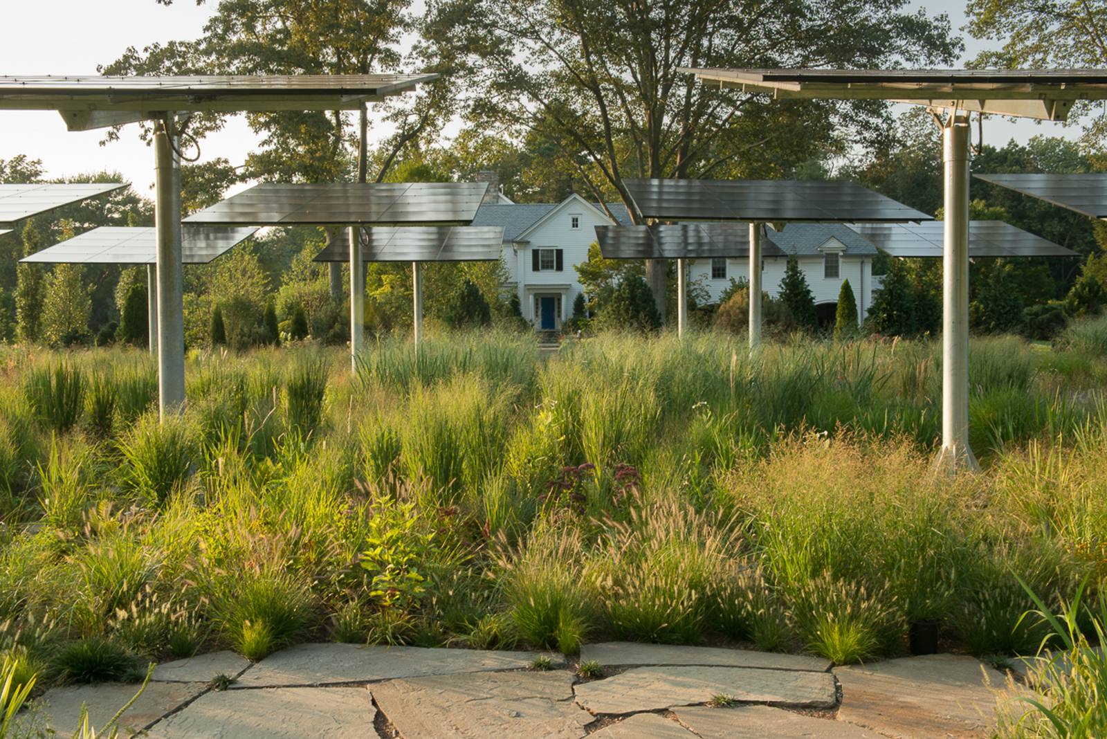 White house seen through the solar panels and meadow grasses