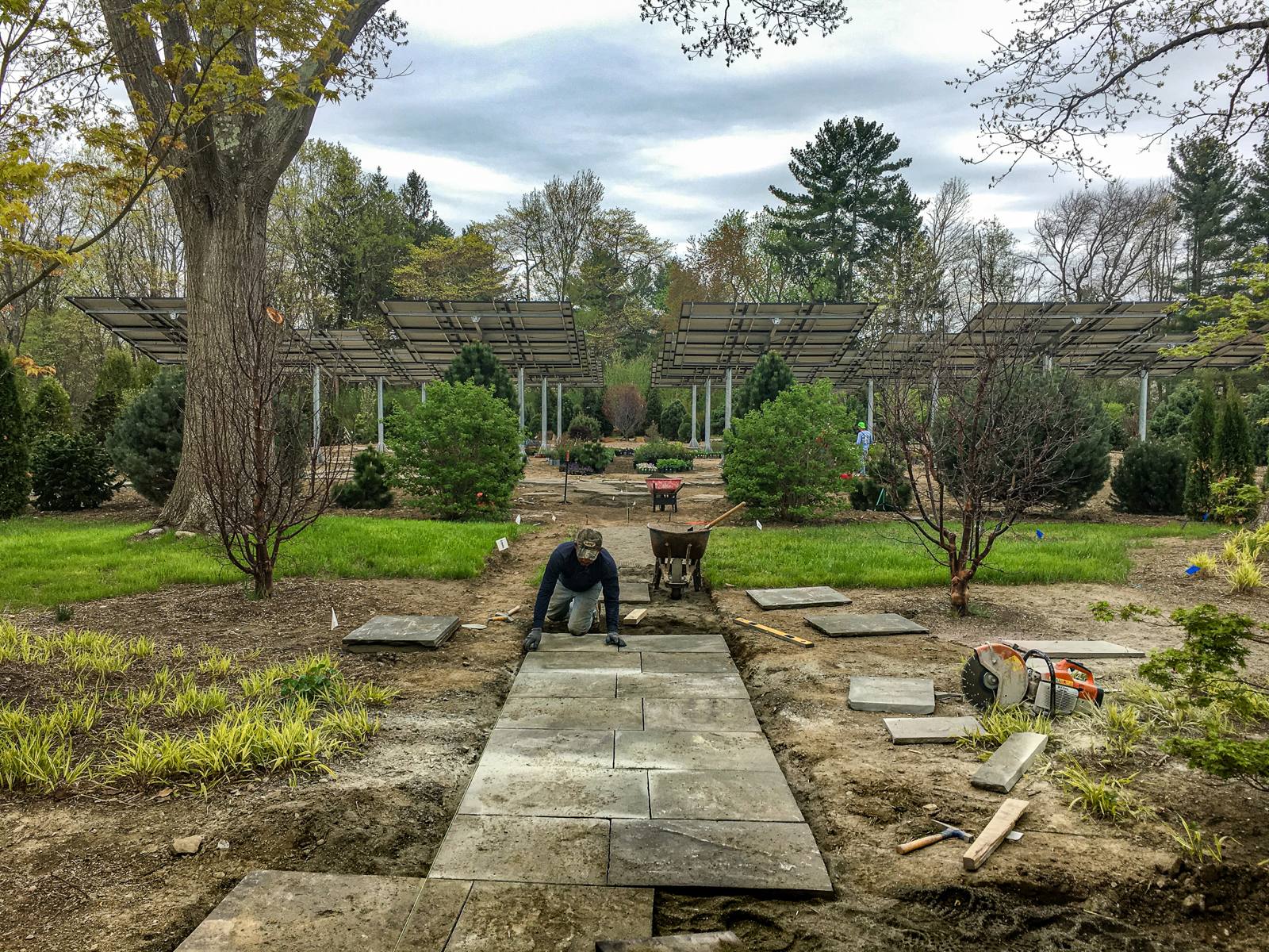 Mason setting bluestone paving during construction