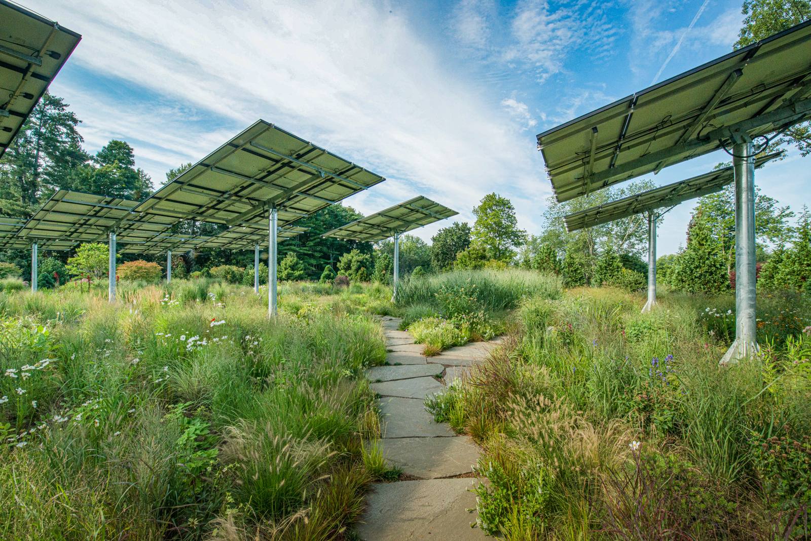 Flagstone path curving through a meadow garden beneath solar panels