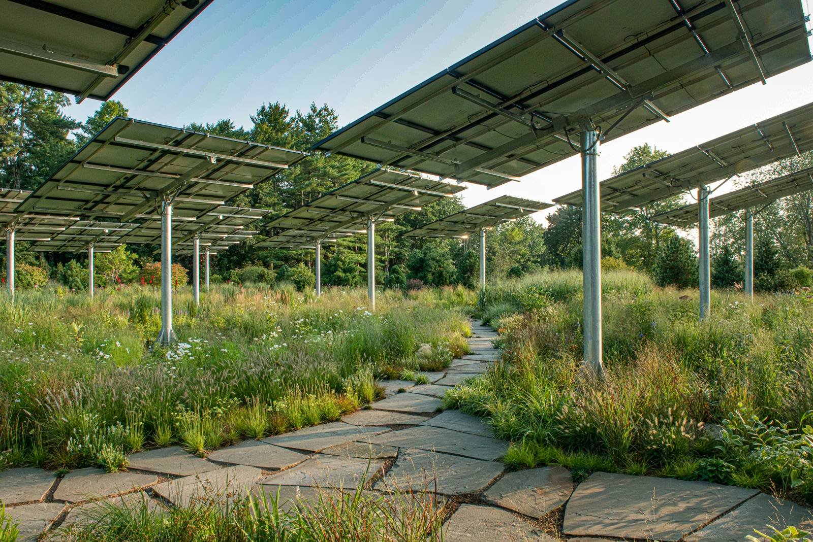 Stone path beneath a row of solar panels
