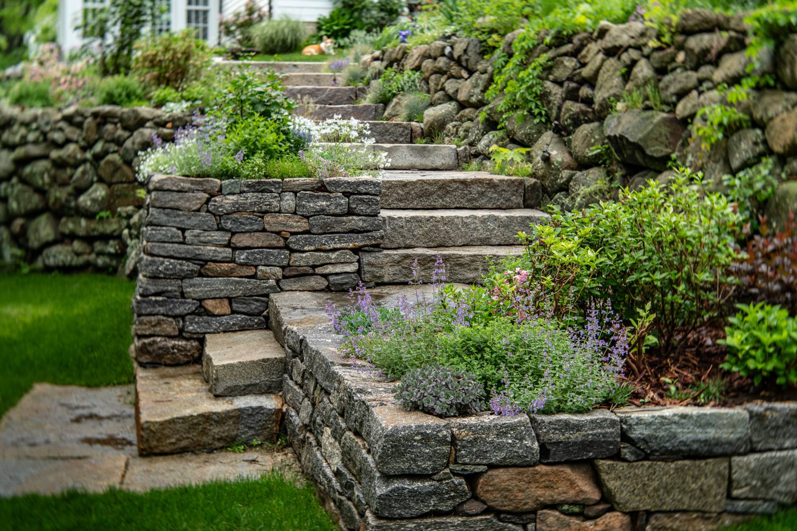 Granite steps and dry-laid stone walls with catmint and perennials