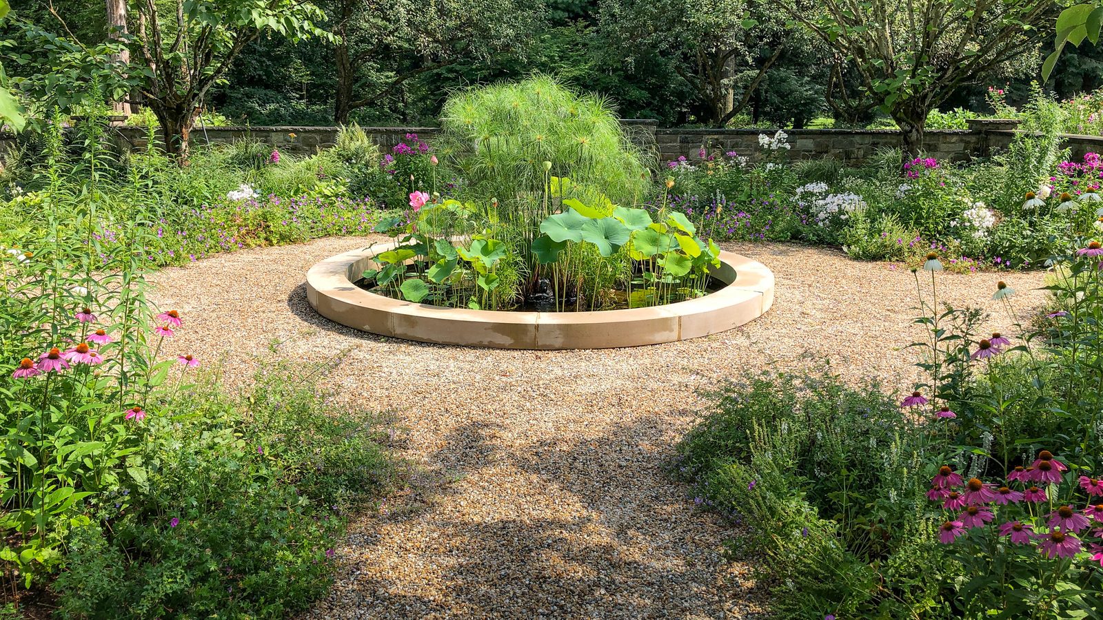 Round lotus and papyrus pool in a gravel garden with phlox and coneflowers